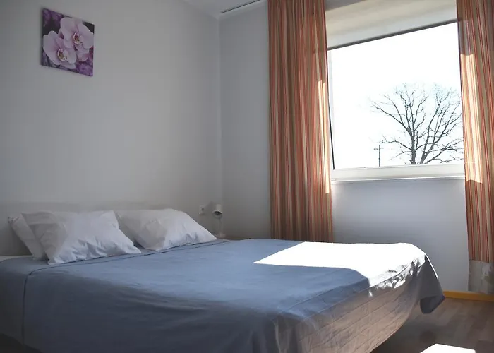 Saare Automatic * Pärnu